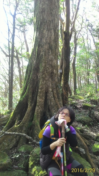 20160229新竹關西蓮苞山,外鳥嘴山31376