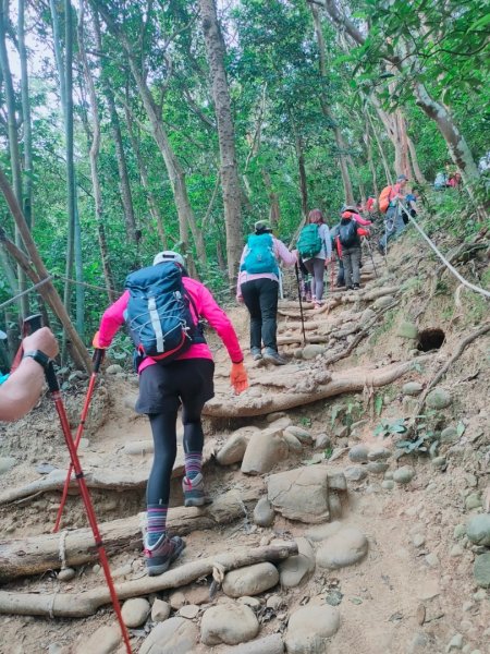 新竹［飛鳳山+中坑山+石壁潭山+大板根o形縱走］2231630