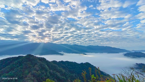 二訪馬拉邦山，解鎖 #琉璃光雲海 #日出雲海  #血月 #斜射光 #楓葉紅了！2668616