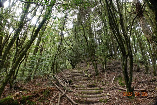 臺中 和平 鞍馬山1697268