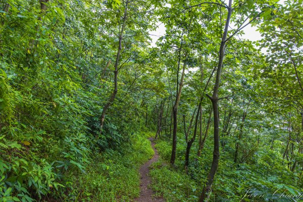 [屏東]笠頂山2847906