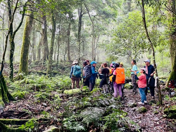 🌈8/2(六）鵝公髻山（小百岳）+北埔冷泉消暑+北埔老街美食✨FB：熊熊趴爬走🌈2852265