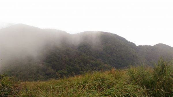 面天山後, 進攻大屯山系列的第一站174691