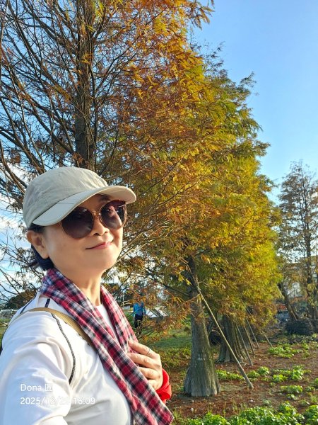 20251229石龜坑山上白石山下白石埤O走+阿姆坪2976749