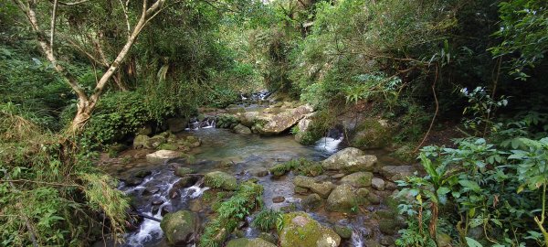 2025/10/26_馬胎古道2925711