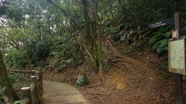 三峽(長壽山)→土城(天上山) 縱走1233117