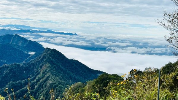 〽️12/25（三）聖誕節~楓紅了🍁~馬拉邦(小百岳)賞楓眺望聖稜線2676371