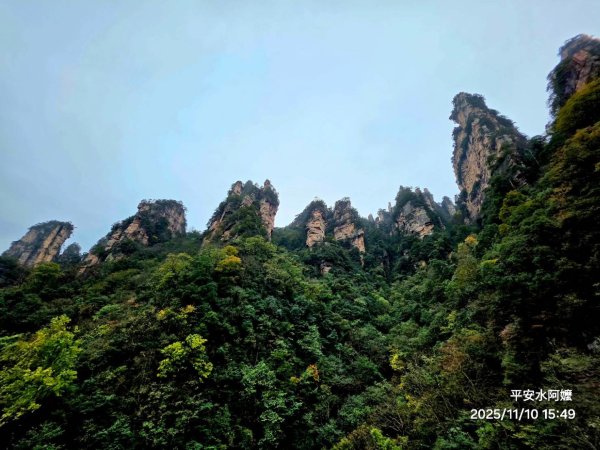 2025/11/8-10張家界園區2939333