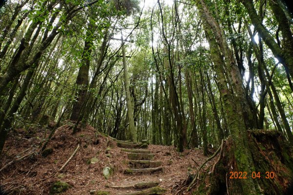 臺中 和平 鞍馬山1697272