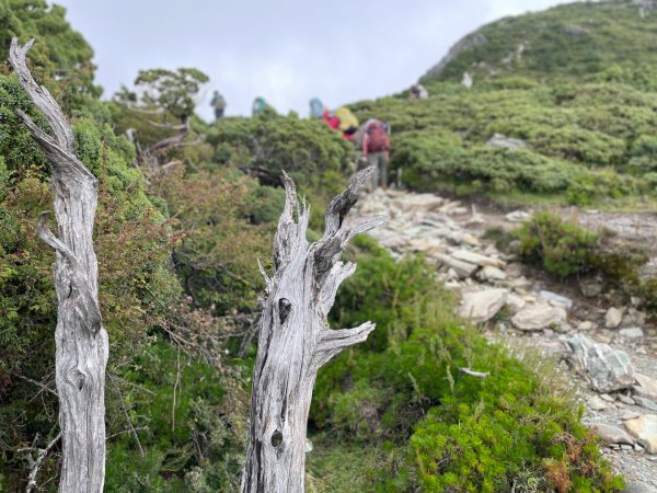 向陽日出，嘉明湖光2865088