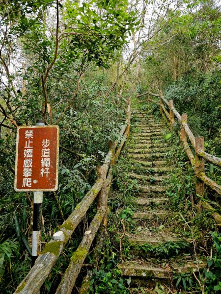 孝子路步道、大巃頂 - 2024嘉遊好步道．來嘉走走2644134