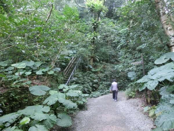 富陽生態公園．福州山106632