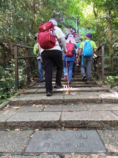 象山公園→六巨石→象山峰→拇指山頂峰登山口→南港山南峰→南港山→九五峰→中華科技大學【臺北大縱走6】2556104