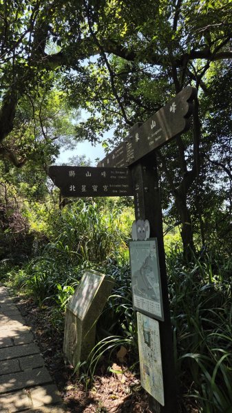 20260815 四獸山縱走3106834