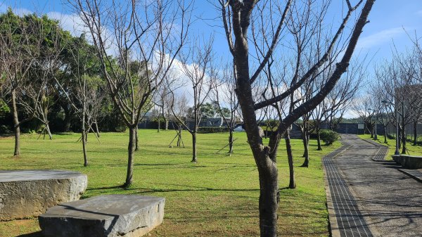 2024-0131 山仔后-住六公園-東方寺-狗殷勤-平菁街42巷-鵝尾山水田-平溪步道2414948