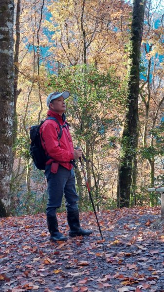 熱血一日霞喀羅賞楓之旅2784995