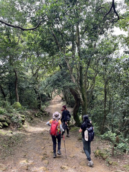 飛鳳山 大8三個山頭1722216