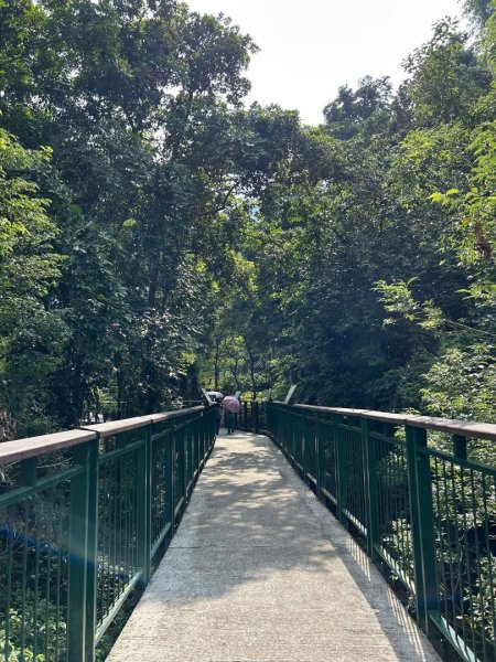 ［竹山］瑞龍瀑布步道  竹山第一美瀑之稱2909743