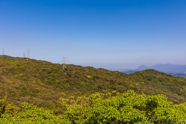 [台北]大崙頭山、碧山巖、忠勇山2746171
