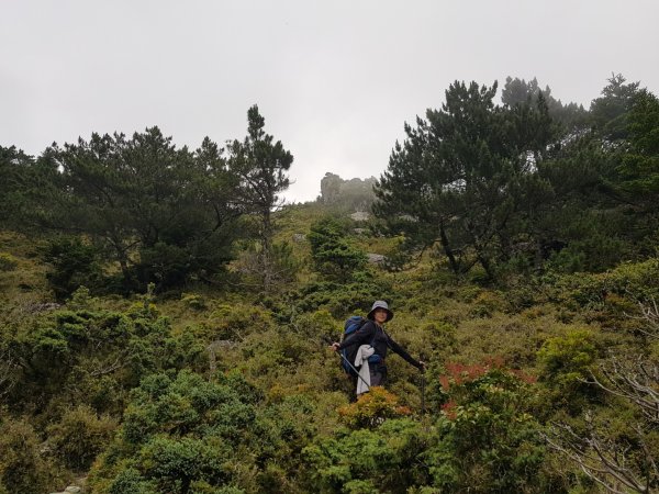 嘉明湖、向陽山三叉山（百岳×19、20）1071417