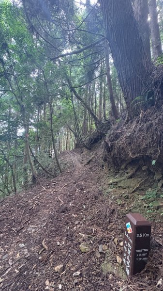 悠遊林鐵遺跡2878131