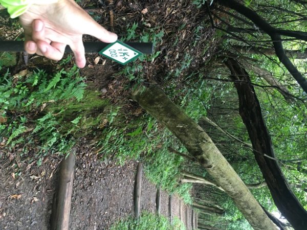 五酒桶山、南崁山2693349