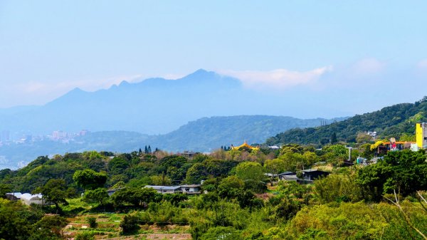 十八份拐圳,陽峰古道,花鐘3017683