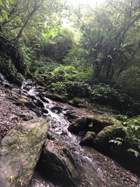 療癒系抹茶山，小百岳三角崙山，五峰旗瀑布1029849