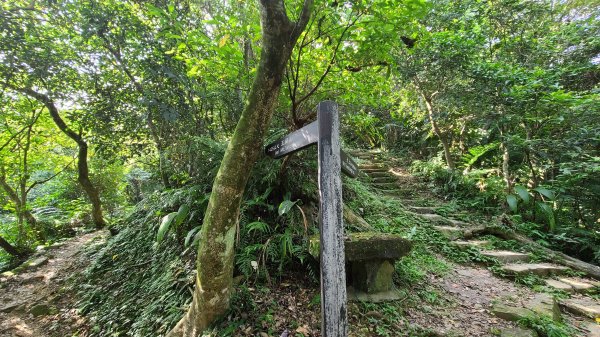 土城天上山火焰山1066674