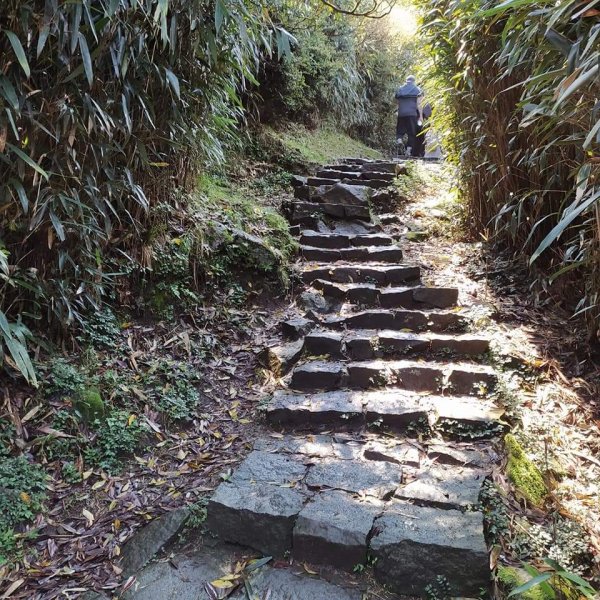 臺北大縱走第三段-小油坑到冷水坑1302041