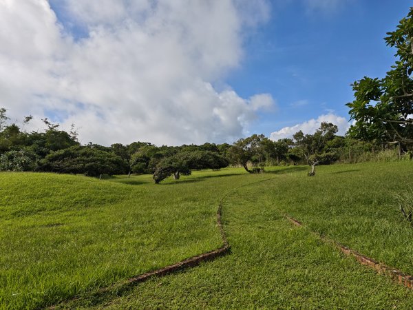 [百山百鳥尋旅-02/15] 2025_0809 社頂自然公園步道2856887