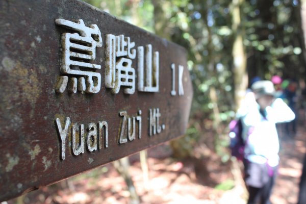 20210410台中鳶嘴山稍來山縱走1348396