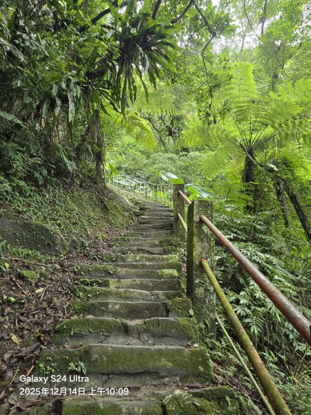 2025-12-14微笑山線：【二格山系】銀河洞越嶺段2962131
