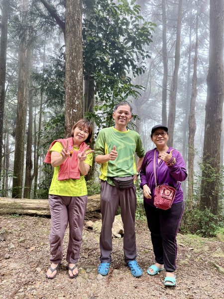 又來老地方避暑，順走小雪防火巷秘境  2026.7.1-23081456