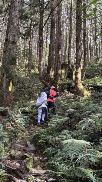 20250913小百岳三星山2885223