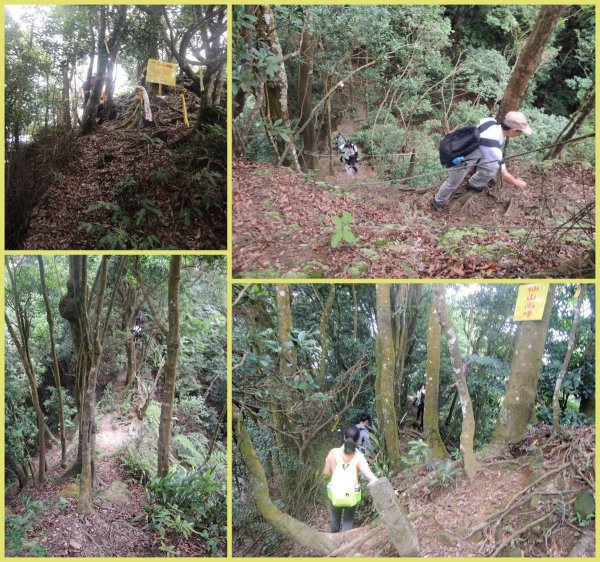 獅潭仙山步道444245