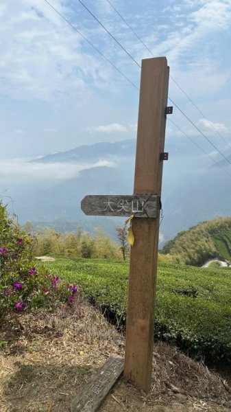 雲嘉連峰/青年嶺/水社寮2750440