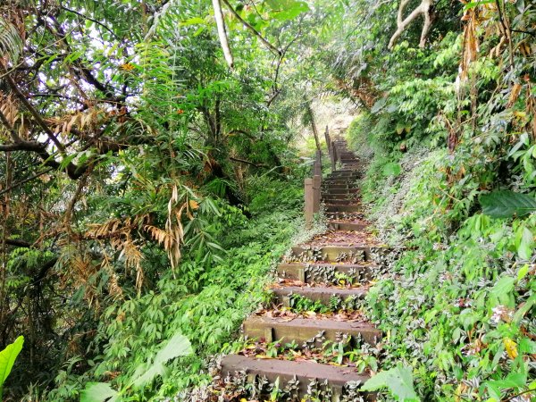 台南東山~山上尋悠。 #65小百岳崁頭山915991