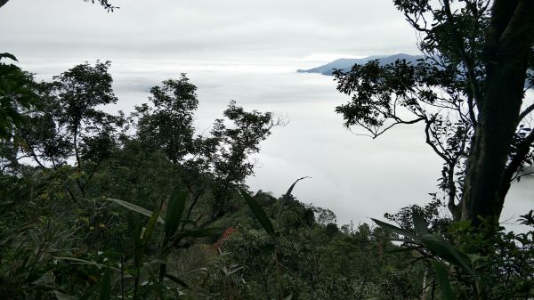 馬那邦山登山步道 2017 12 17226568