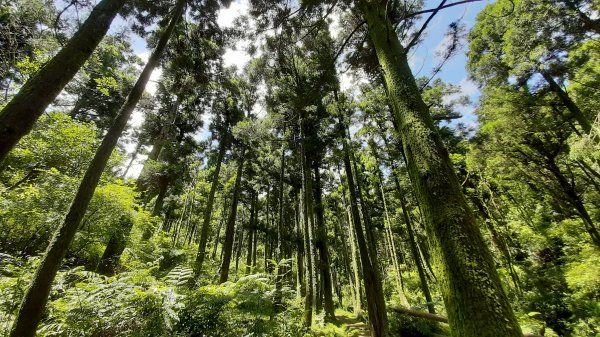 臺北大縱走3：擎天崗、頂山石梯嶺步道669966