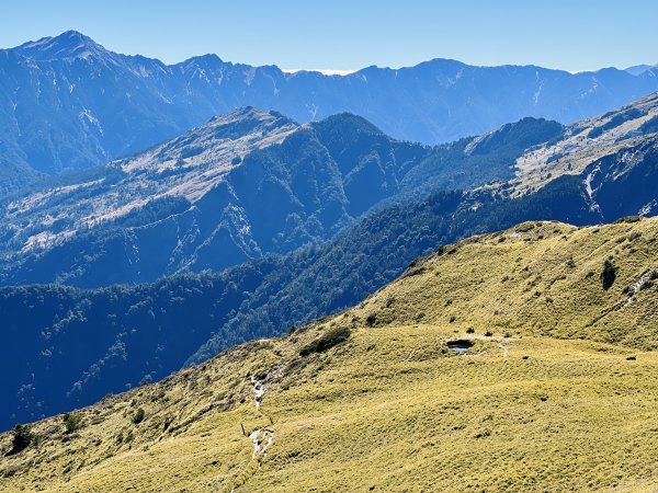 合歡山風景 2024/1/17-182417585