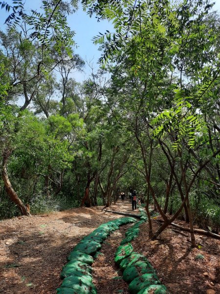 《台中》大肚環保公園登山步道、望高寮賞景1055274