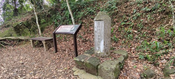 馬那邦山(上湖登山口)-2026/04/183040589