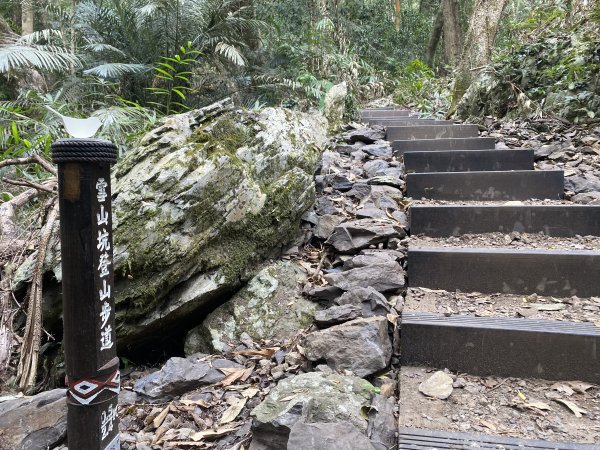 《雪山坑登山步道｜巨人之手森林秘境 Xueshankeng Hiking Trail & Giant2971084