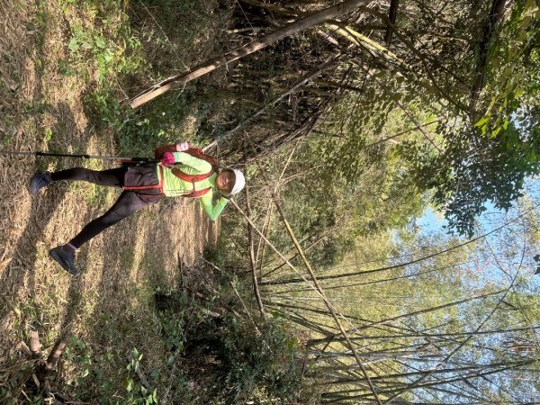 高雄美濃月光山2734909