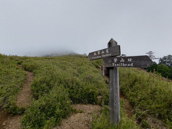 志佳陽大山登山步道2520071