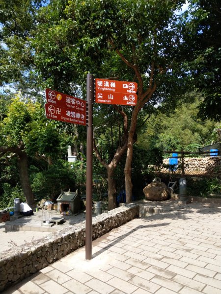 硬漢嶺-觀音山(楓櫃斗湖步道,硬漢嶺步道706501