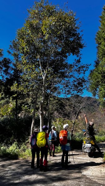 復興防列區山封面