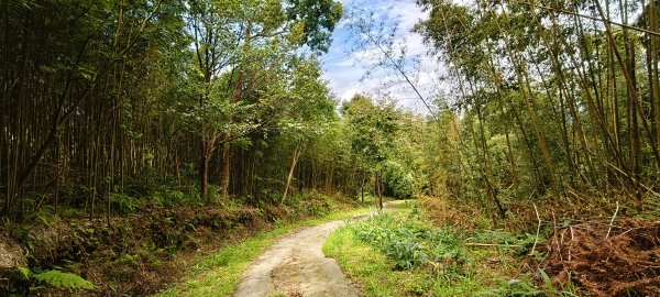 2025/09/20_鵝公髻山步道2892261