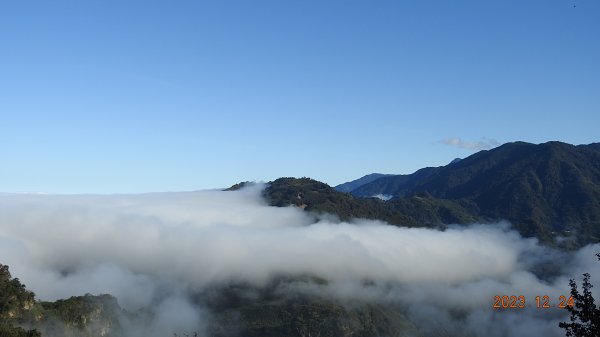 馬那邦山/細道邦道雲海&觀音圈 #黑雞  #花嘴鴨 12/242385576